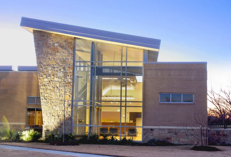 My Plan to End Dog and Cat Euthanasia at Carrollton Animal Shelter due to Overcrowding